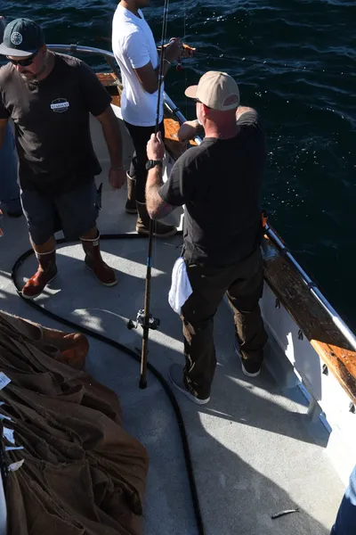 DSC_6683 (Large).JPG